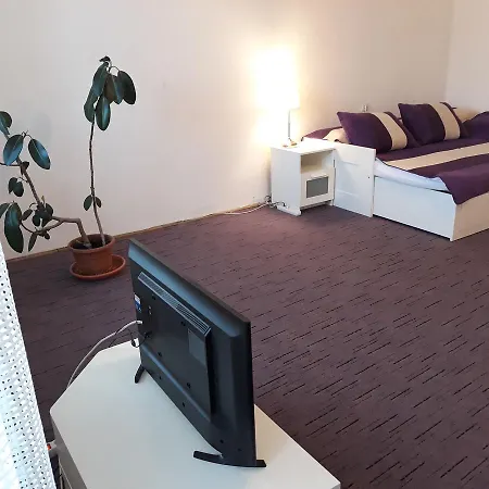 Studio S. Apartman *